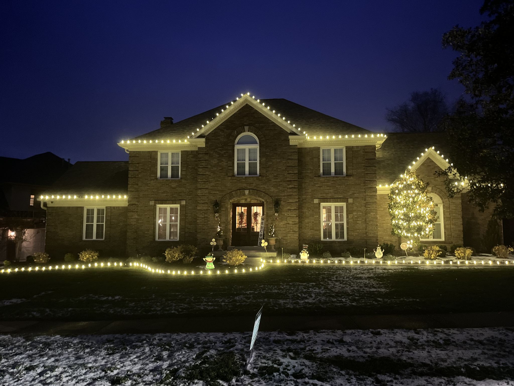 Tree & Shrub Lighting